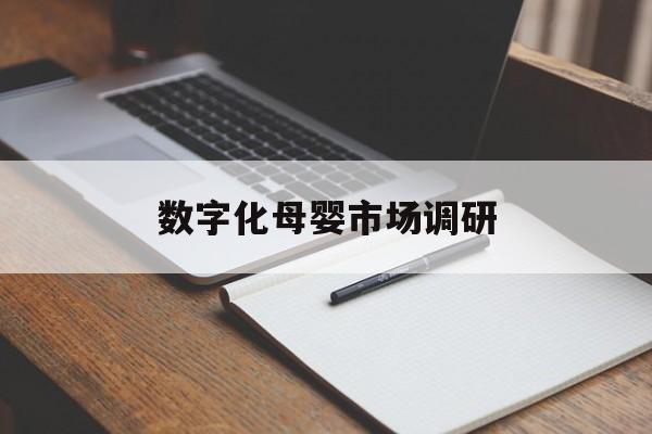 阿克苏市数字化母婴市场调研(数字化母婴市场调研报告)